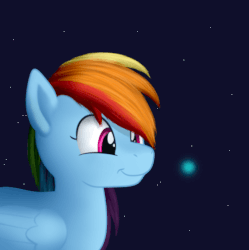 Size: 503x506 | Tagged: safe, artist:brightroom, rainbow dash, firefly (insect), pony, g4, animated, cute, dashabetes, eye shimmer, female, gif, night, perfect loop, simple background, smiling, solo, stars