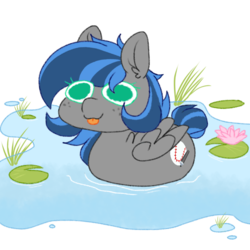 Size: 768x768 | Tagged: safe, artist:littlebibbo, derpibooru exclusive, oc, oc:bibbo, pegasus, pony, behaving like a bird, female, freckles, mare, pegaduck, swimming, tongue out, water, waterlily, wings