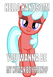 Size: 750x1096 | Tagged: safe, edit, editor:undeadponysoldier, oc, oc only, oc:echristian, earth pony, pony, bedroom eyes, compliment, complimenting you, female, looking at you, mare, misspelling, question, question mark, simple background, solo, talking to viewer, text, white background
