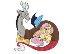 Size: 1024x768 | Tagged: safe, artist:emz2015, discord, fluttershy, oc, oc:sweet disarray, draconequus, hybrid, pegasus, pony, g4, blushing, draconequus oc, explicit source, family, female, floppy ears, interspecies offspring, male, mare, offspring, parent:discord, parent:fluttershy, parents:discoshy, prone, ship:discoshy, shipping, simple background, sleeping, smiling, spread wings, straight, transparent background, wings
