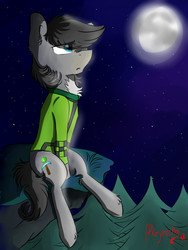 Size: 1920x2560 | Tagged: safe, artist:yuris, oc, oc only, earth pony, pony, chest fluff, clothes, ear fluff, eye clipping through hair, grass, ledge, leg fluff, moon, night, shirt, sitting, solo, starry night, tree