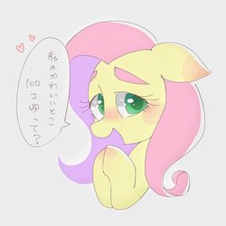 Size: 712x712 | Tagged: safe, artist:1drfl_world_end, fluttershy, pony, g4, blushing, dialogue, female, floppy ears, japanese, looking at you, mare, simple background, solo, translated in the comments