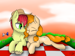 Size: 2000x1500 | Tagged: safe, artist:llhopell, bright mac, pear butter, butterfly, earth pony, horse, pony, g4, cloud, evening sky, female, grass, love, male, romantic, sky