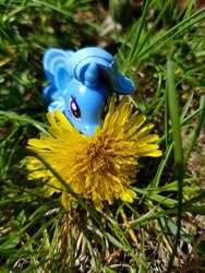 Size: 678x904 | Tagged: safe, trixie, pony, unicorn, g4, female, flower, looking at you, mare, photo, solo, toy