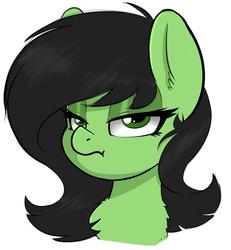 Size: 1401x1519 | Tagged: safe, artist:duop-qoub, oc, oc only, oc:anon, oc:filly anon, earth pony, pony, bust, chest fluff, female, filly, filly anon is not amused, lidded eyes, looking at you, portrait, simple background, solo, unamused, wavy mouth, white background