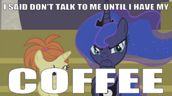 Size: 669x375 | Tagged: safe, alternate version, edit, edited screencap, editor:undeadponysoldier, screencap, indian summer, princess luna, alicorn, pony, unicorn, a royal problem, g4, caption, every blank ever, every starbucks ever, female, filly, flowing mane, grumpy, grumpy luna, image macro, mare, meme, reference, relatable, smosh, stars in mane, text, yelling
