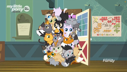Size: 1259x708 | Tagged: safe, screencap, derp cat, cat, pony, siamese cat, g4, going to seed, all new, animal, discovery family logo, goldie delicious' cats, map, text, too many cats, tuxedo cat