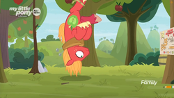 Size: 1259x708 | Tagged: safe, screencap, big macintosh, earth pony, pony, g4, going to seed, all new, apple tree, bags under eyes, cutie mark, discovery family logo, freckles, hanging, hanging upside down, male, map, predicament, solo, stallion, sweet apple acres, text, trap (device), trapped, tree, unshorn fetlocks