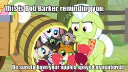 Size: 960x540 | Tagged: safe, edit, edited screencap, screencap, goldie delicious, granny smith, cat, earth pony, pony, siamese cat, g4, going to seed, animal, apple, barrel, caption, female, food, goldie delicious' cats, image macro, mare, text, too many cats