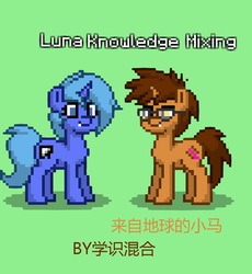 Size: 840x914 | Tagged: safe, princess luna, oc, oc:knowledge mixing, pony, pony town, g4, chinese, novel, novel cover, pixel art