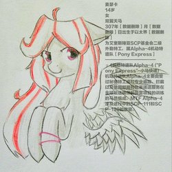 Size: 2000x2000 | Tagged: safe, artist:龙宠, oc, oc only, oc:mascara, oc:meseka, pegasus, pony, chinese, double wings, high res, introduction, mobile task force, multiple wings, scp, scp foundation, solo, text, wings