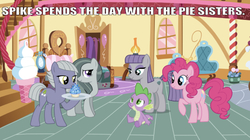 Size: 641x359 | Tagged: artist needed, safe, edit, edited screencap, editor:undeadponysoldier, screencap, limestone pie, marble pie, maud pie, pinkie pie, spike, dragon, earth pony, pony, g4, bed, bedroom, caption, chair, crack shipping, cupcake, female, flower, food, gem, happy, image macro, lamp, lucky bastard, male, mare, pie sisters, plate, potted plant, raised hoof, sapphire, sapphire cupcake, ship:marblespike, ship:maudspike, ship:pinkiespike, ship:spikestone, shipping, siblings, sisters, sitting, smiling, sofa bed, spending time, spike gets all the mares, spike gets all the pie sisters, spikelove, straight, sugarcube corner, text, when she smiles, window