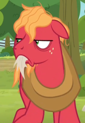 Size: 556x799 | Tagged: safe, screencap, big macintosh, earth pony, pony, g4, going to seed, angry, bags under eyes, big macintosh is not amused, cropped, frown, male, messy mane, mouth hold, solo, stallion, tired