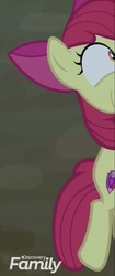 Size: 565x1350 | Tagged: safe, screencap, apple bloom, earth pony, pony, g4, going to seed, season 9, cropped, discovery family logo, female, out of context, solo