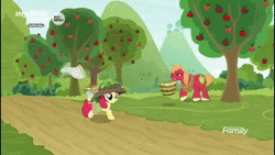 Size: 1920x1080 | Tagged: safe, screencap, apple bloom, applejack, big macintosh, earth pony, pony, g4, going to seed, animated, annoyed, apple, apple tree, backpack, basket, bucking, eyebrow wiggle, food, hat, helmet, leaves, net, no sound, raised eyebrow, rope, running, sibling rivalry, smiling, smirk, spin kick, tired, tree, webm