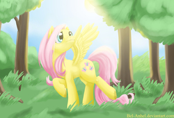 Size: 1470x1000 | Tagged: safe, artist:bel-assa, fluttershy, pegasus, pony, g4, female, forest, looking up, mare, raised hoof, solo, spread wings, sun, wings