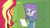 Size: 1280x720 | Tagged: safe, edit, edited screencap, editor:ah96, screencap, maud pie, sunset shimmer, equestria girls, equestria girls series, forgotten friendship, animated, family guy, female, sound, webm