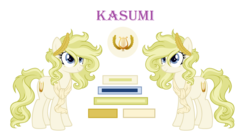 Size: 5032x2684 | Tagged: safe, artist:xxmelody-scribblexx, oc, oc only, oc:kasumi, earth pony, pony, clothes, female, mare, reference sheet, scarf, simple background, solo, transparent background