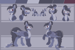 Size: 6000x4000 | Tagged: safe, artist:allex-ai, artist:vavaig69, oc, oc only, oc:olive, pegasus, pony, abstract background, coat markings, expressions, feather, female, hair bun, looking at you, mare, raised hoof, reference sheet, smiling, solo, tail jewelry