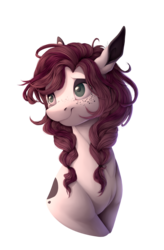 Size: 1900x2900 | Tagged: safe, artist:allex-ai, artist:vavaig69, oc, oc only, earth pony, pony, braid, bust, coat markings, female, freckles, mare, simple background, smiling, solo, transparent background