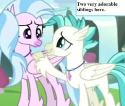 Size: 473x403 | Tagged: safe, edit, edited screencap, editor:korora, screencap, silverstream, terramar, g4, student counsel, brother and sister, captain obvious, cropped, cute, diastreamies, female, inset, jewelry, male, necklace, siblings, terrabetes, text