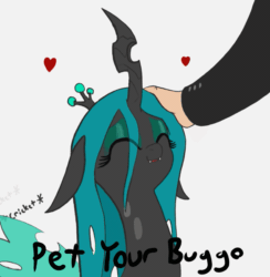 Size: 585x600 | Tagged: safe, artist:szafir87, artist:t72b, queen chrysalis, changeling, changeling queen, human, animated, buggo, bugs doing bug things, changelings in the comments, chirping, cute, cute bug noises, cutealis, daaaaaaaaaaaw, eye clipping through hair, female, flapping wings, gif, gray background, hand, heart, offscreen character, offscreen human, onomatopoeia, petting, quadrupedal, simple background, solo focus, tail wag, weapons-grade cute