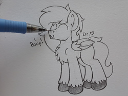 Size: 2576x1932 | Tagged: safe, artist:drheartdoodles, oc, oc:dr.heart, clydesdale, pegasus, pony, :3, ^3^, boop, lineart, pencil, silly, smiling, traditional art, unshorn fetlocks