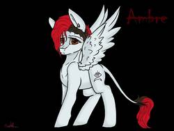 Size: 1600x1200 | Tagged: safe, artist:crazysurprise, oc, oc only, oc:ambre, pegasus, pony, black background, female, mare, simple background, solo