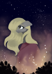 Size: 2322x3300 | Tagged: safe, artist:livitoza, derpy hooves, pony, g4, alternate hairstyle, cloak, clothes, female, floppy ears, high res, long hair, mare, night, profile, smiling, solo, starry night, stars