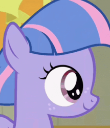Size: 371x431 | Tagged: safe, edit, edited screencap, screencap, wind sprint, pegasus, pony, common ground, g4, animated, caption, cropped, female, freckles, gif, image macro, solo, text