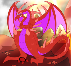Size: 5352x4968 | Tagged: safe, artist:mega10say, oc, oc:crystal blaze, dragon, pony, fusion