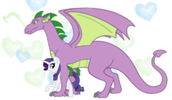 Size: 933x544 | Tagged: safe, artist:millerrachel, rarity, spike, dragon, g4, female, male, older, older spike, quadrupedal spike, ship:sparity, shipping, straight, winged spike, wings