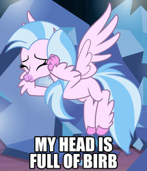 Size: 794x922 | Tagged: safe, edit, edited screencap, screencap, silverstream, classical hippogriff, hippogriff, g4, uprooted, birb, caption, cropped, female, image macro, solo, text