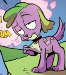Size: 720x822 | Tagged: safe, artist:andypriceart, idw, spike, dog, equestria girls, g4, spoiler:comic, spoiler:comic78, cropped, dogified, implied equestria girls, paws, species swap, spike is not amused, spike the dog, spike's dog collar, tail, unamused