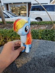 Size: 415x554 | Tagged: safe, rainbow dash, pegasus, pony, g4, animated, car, gif, hand, irl, japan, plant, rock, solo, toy, video