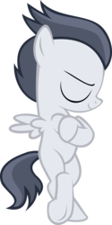 Size: 2168x4327 | Tagged: safe, artist:red4567, derpibooru exclusive, rumble, pony, g4, marks and recreation, bipedal, cool, eyes closed, male, pose, simple background, solo, transparent background, vector