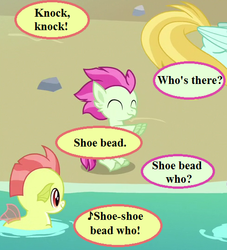 Size: 490x539 | Tagged: safe, edit, edited screencap, editor:korora, screencap, coral dust, hippogriff, seapony (g4), g4, surf and/or turf, baby seapony (g4), background hippogriff, beach, cropped, dialogue, fledgeling, knock knock joke, pun, rock, shoo be doo, speech bubble, unnamed character, unnamed hippogriff