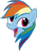 Size: 35x47 | Tagged: safe, rainbow dash, pony, g4, female, picture for breezies, solo