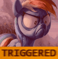 Size: 661x683 | Tagged: safe, artist:hunternif, edit, rainbow dash, pony, g4, tanks for the memories, animated, caption, do i look angry, female, gif, image macro, meme, solo, text, triggered, vibrating