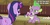 Size: 993x500 | Tagged: safe, edit, edited screencap, screencap, princess cadance, shining armor, spike, twilight sparkle, dragon, pony, a canterlot wedding, g4, caption, illegal alien, illegal immigrant, illegal immigrants, image macro, immigrant, marriage, text, toy, wedding