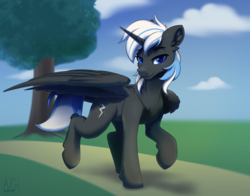 Size: 6000x4698 | Tagged: safe, artist:airfly-pony, oc, oc only, oc:storm bringer, alicorn, pony, rcf community, alicorn oc, commission, looking at you, male, solo, stallion