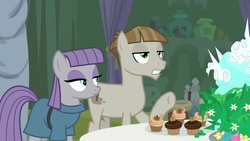 Size: 1920x1080 | Tagged: safe, screencap, maud pie, mudbriar, earth pony, pony, g4, student counsel, clothes, cupcake, duo, female, food, male, mare, raised hoof, stallion