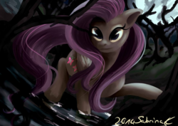 Size: 1018x720 | Tagged: safe, artist:shinytheblossom, fluttershy, pegasus, pony, g4, creepy, dark, female, forest, mare, moon, night, raised hoof, smiling, solo, speedpaint available