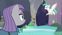 Size: 1920x1080 | Tagged: safe, screencap, maud pie, terramar, classical hippogriff, hippogriff, pony, g4, student counsel