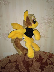 Size: 750x1000 | Tagged: safe, artist:allunacraft, pegasus, pony, alex gaskarth, all time low, clothes, commission, irl, male, photo, plushie, ponified, shirt, solo, stallion, t-shirt, tail feathers
