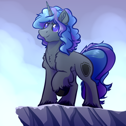 Size: 4000x4000 | Tagged: safe, artist:witchtaunter, oc, oc only, pony, unicorn, absurd resolution, commission, solo