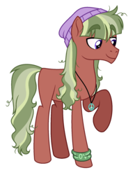 Size: 1341x1729 | Tagged: safe, artist:hazardous-andy, oc, oc only, pony, male, offspring, parent:mud briar, parent:tree hugger, simple background, solo, stallion, transparent background