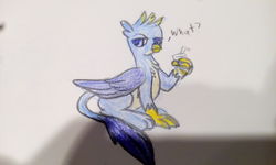 Size: 2880x1728 | Tagged: safe, artist:shelltoon, derpibooru exclusive, gallus, griffon, g4, colored sketch, drink, male, photo, sketch, solo, traditional art, wat