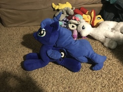 Size: 4032x3024 | Tagged: safe, princess luna, alicorn, pony, g4, build-a-bear, cute, female, irl, lying down, photo, plushie, prone, solo focus