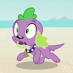 Size: 460x460 | Tagged: safe, screencap, spike, spike the regular dog, dog, equestria girls, equestria girls series, forgotten friendship, g4, cropped, male, paws, running, solo, spike's dog collar, tail